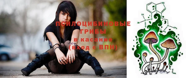 стаф Алексеевка