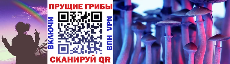 ОМГ ОМГ ссылки  цена   Харабали  Галлюциногенные грибы Psilocybine cubensis 